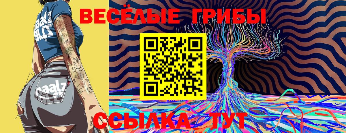 Галлюциногенные грибы GOLDEN TEACHER Ухта