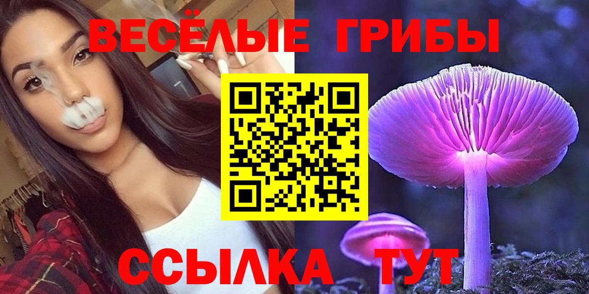 Ухта  Псилоцибиновые грибы прущие грибы  Псилоцибиновые грибы MAGIC MUSHROOMS  Вход с VPN 